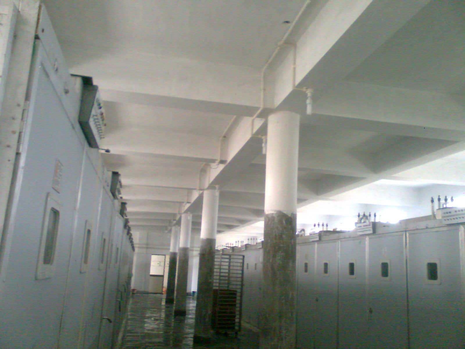 project images
